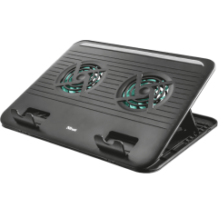 Dzesējošie paliktņi