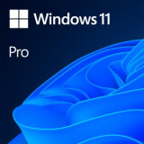 Windows 11 Professional (FQC-10528)