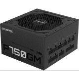 Barošanas bloks GIGABYTE P750GM 750W (GP-P750GM)