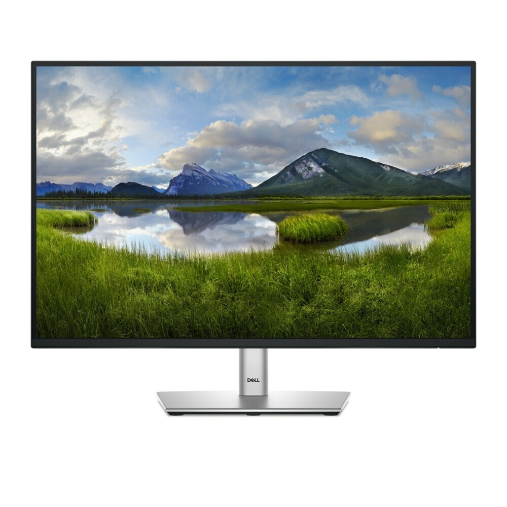 Der Monitor DELL P Series P2425 24.1" (210-BMJD)