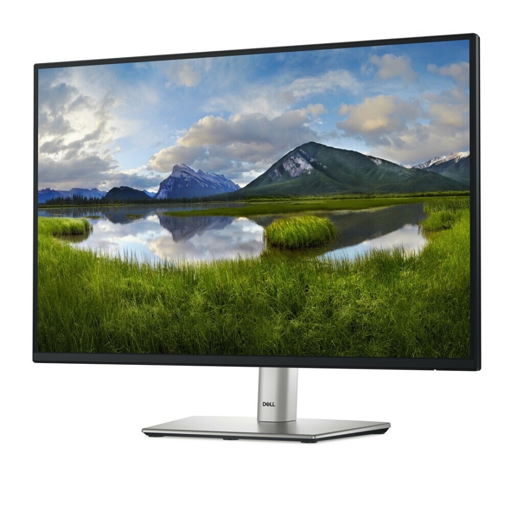 Der Monitor DELL P Series P2425 24.1" (210-BMJD) - Foto 2