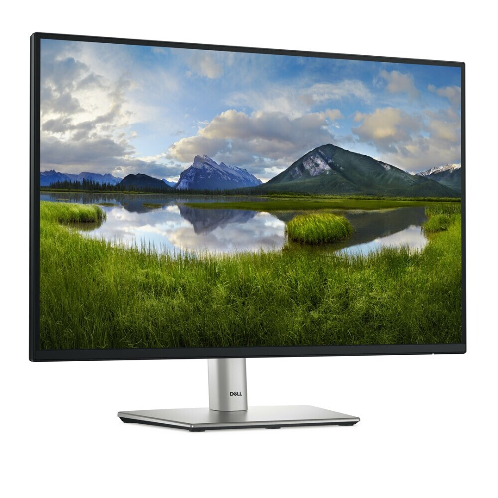 Der Monitor DELL P Series P2425 24.1" (210-BMJD) - Foto 3