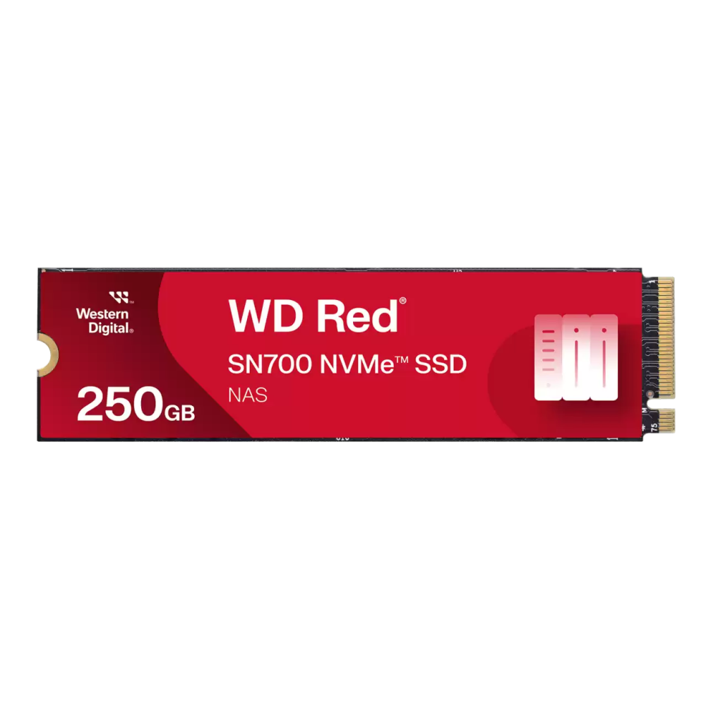 SSD-Festplatte WD Red SN700 1Tb (WDS100T1R0C)