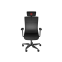 Datorkrēsls Genesis Astat 700 G2 Black (NFG-1945)
