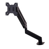 Kronšteins Esperanza ERW019