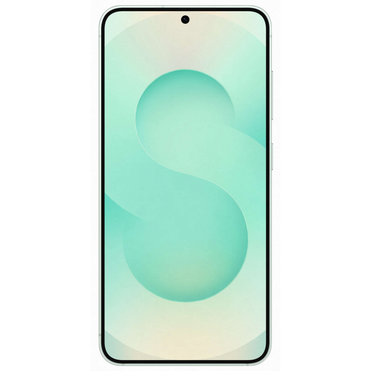 Mobilais tālrunis Samsung Galaxy S25 128GB Mint - foto 2