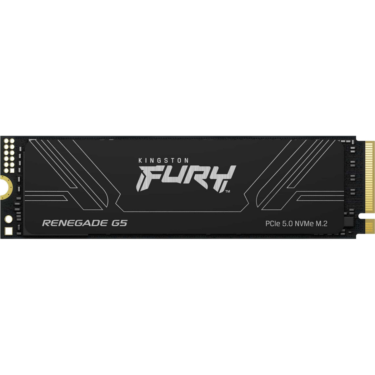SSD Kingston FURY Renegade G5 1024GB (SFYR2S/1T0)
