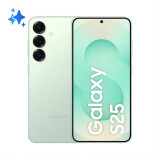 Mobilais tālrunis Samsung Galaxy S25 12GB 256GB Mint (SM-S931BLGGEUB) ( SM-S931B/DS)