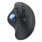 Trekbols Logitech ERGO M575S Black (910-007029)