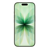 Mobilais tālrunis Apple iPhone 17 6.3" 256GB Sage A3520 (MG6N4HX/A)