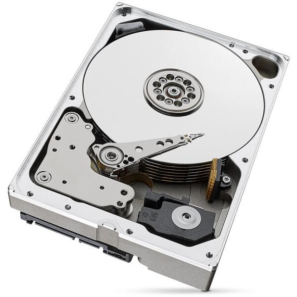 Cietais disks SEAGATE Surveillance AI Skyhawk 10Tb (ST10000VE001) - foto 3