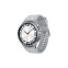 Samsung Galaxy Watch6 47mm silver (SM-R960NZSADBT)