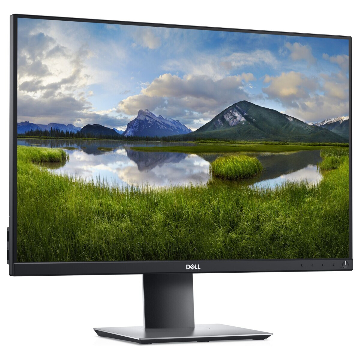 Monitors Dell P2421 24'' Black (DELL-P2421) - foto 4