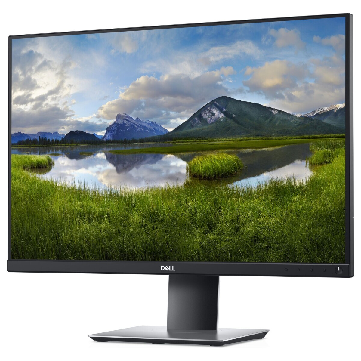 Monitors Dell P2421 24'' Black (DELL-P2421) - foto 5