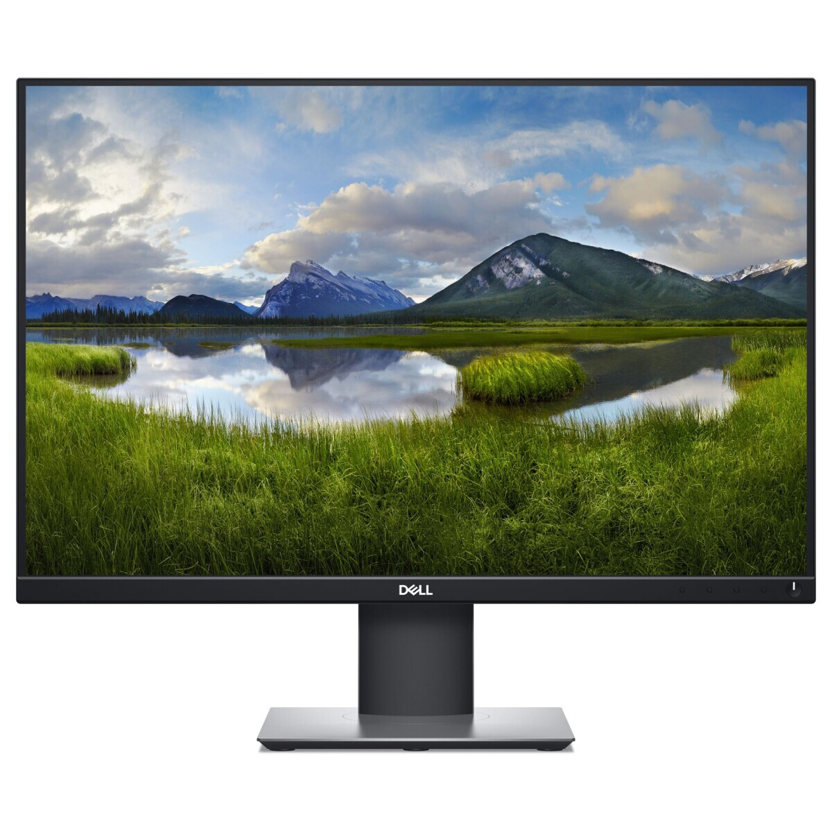 Monitors Dell P2421 24'' Black (DELL-P2421)