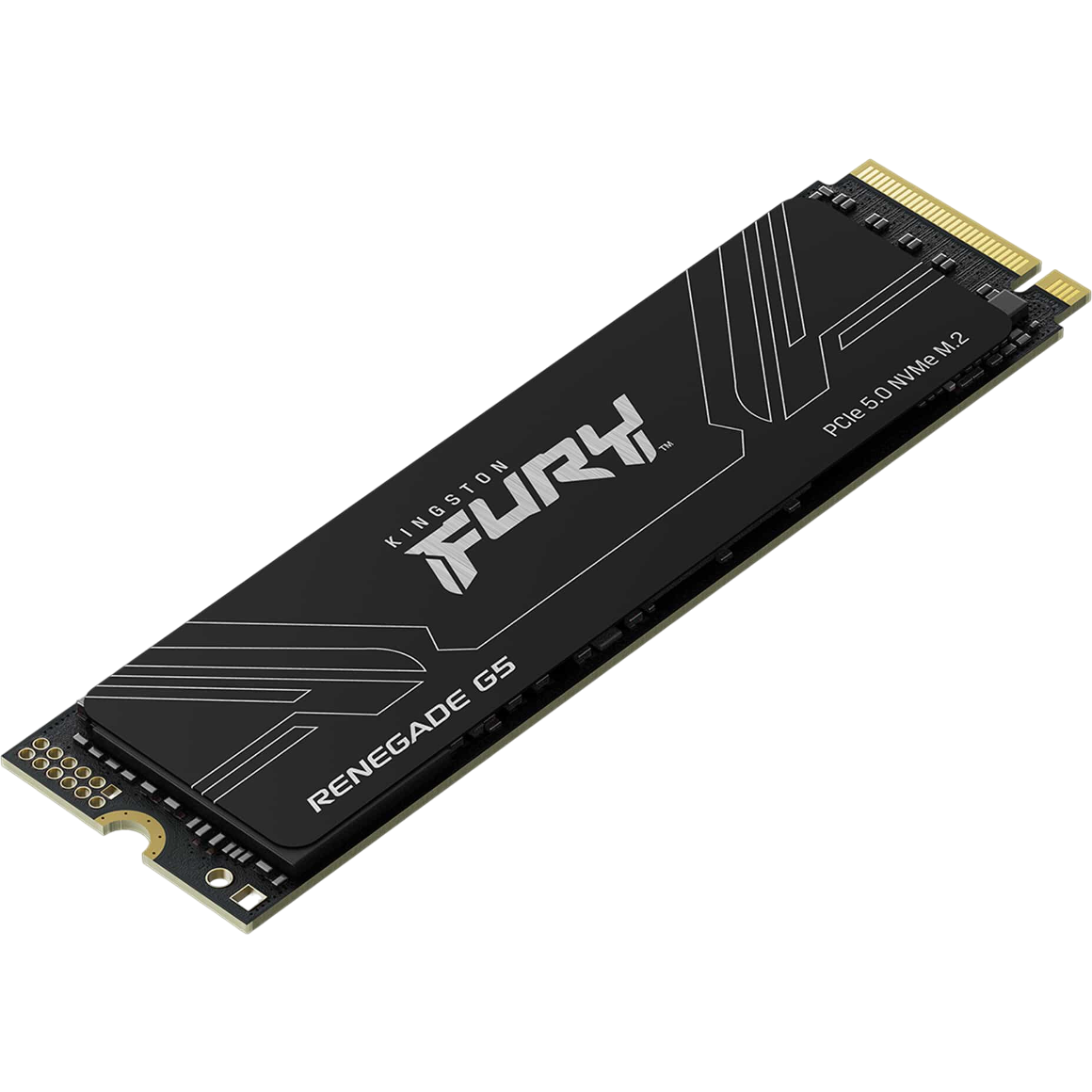 SSD-Speicher 1TB Kingston FURY Renegade G5 (SFYR2S/1T0)
