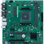 Mainboard ASUS PRO A520M-C II/CSM