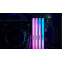 Arbeitsspeicher 96GB DDR5 6000MHz Kingston Fury Renegade RGB (KF560C32RSAK2-96) (2x48GB KIT) - Foto 5