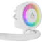 Flüssigkeitskühlsystem Arctic Liquid Freezer III 280 ARGB White - ACFRE00151A - Foto 4