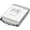 Festplatte 22TB SAS Toshiba (MG10SFA22TE)