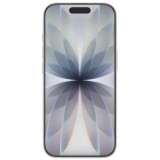 Displayschutzglas Belkin OVA173HQ
