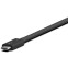 Docking-Station Belkin Pro Thunderbolt 4 Dock - INC006vfSGY - Foto 6