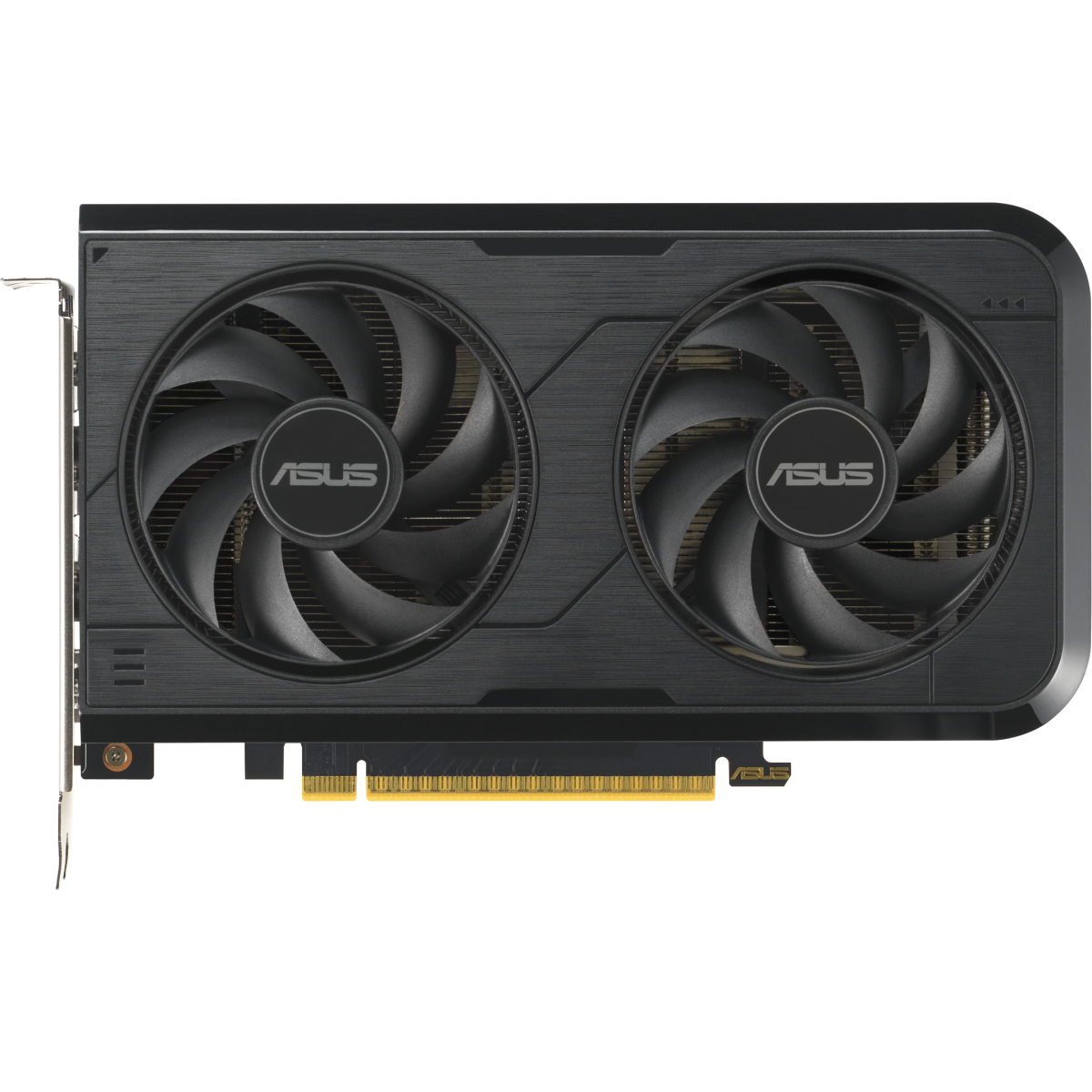 Grafikkarte NVIDIA GeForce RTX 5050 ASUS OC 8GB (DUAL-RTX5050-O8G)