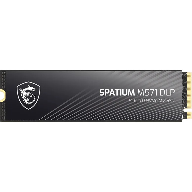 SSD-Speicher 2TB MSI SPATIUM M571 DLP (S78-440Q1K0-P83)