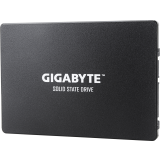 SSD-Speicher 256GB Gigabyte (GP-GSTFS31256GTND)