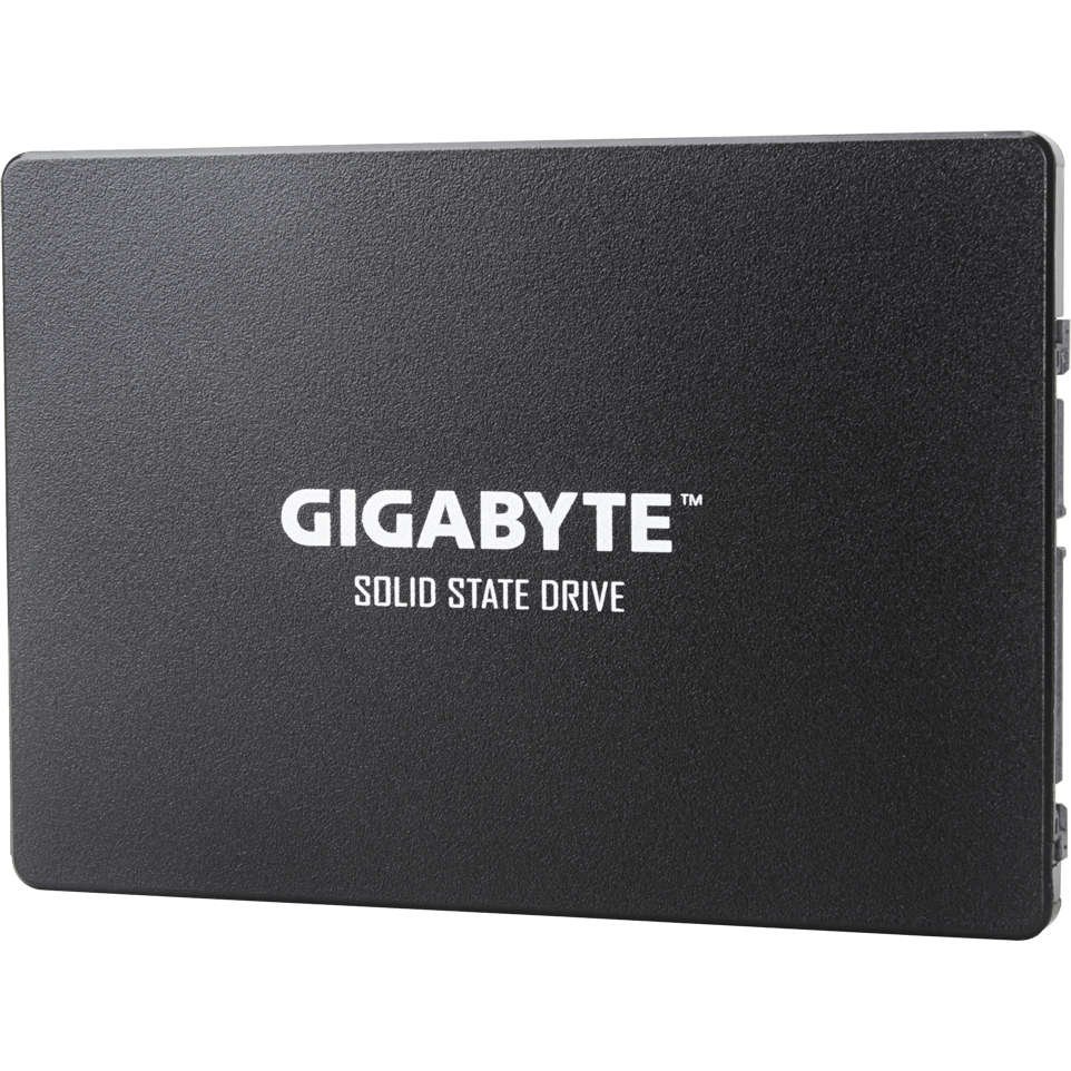 SSD-Speicher 256GB Gigabyte (GP-GSTFS31256GTND) - Foto 2
