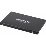 SSD-Speicher 1TB Gigabyte (GP-GSTFS31100TNTD)
