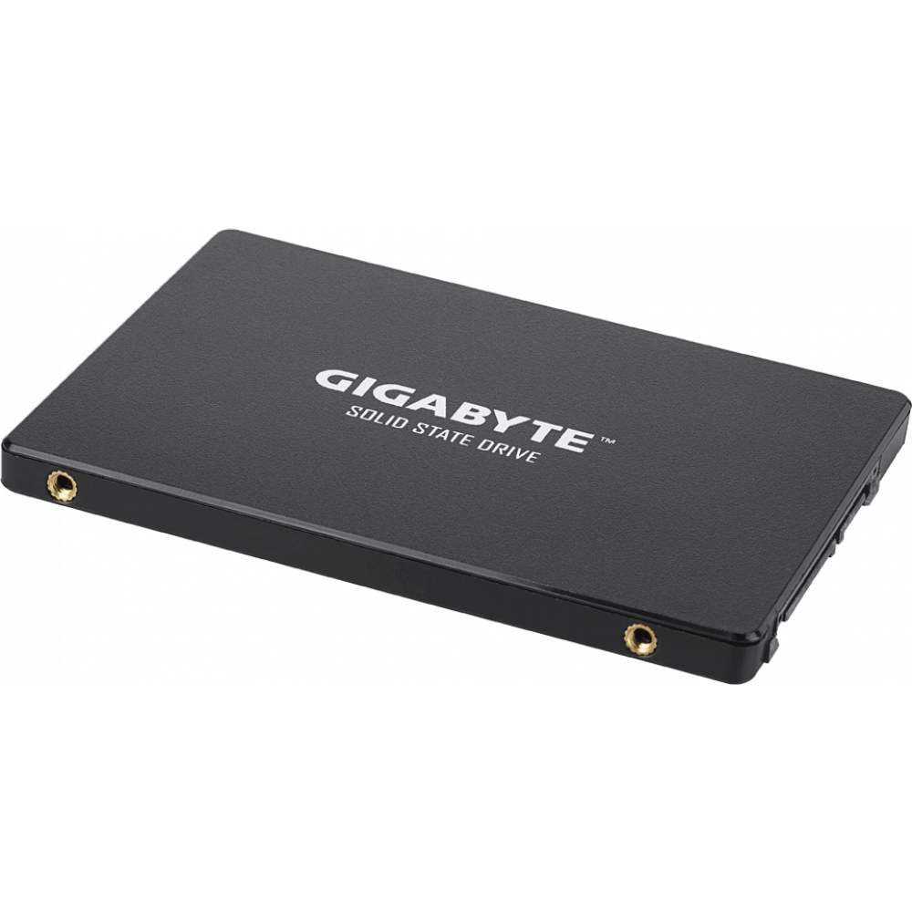SSD-Speicher 1TB Gigabyte (GP-GSTFS31100TNTD)